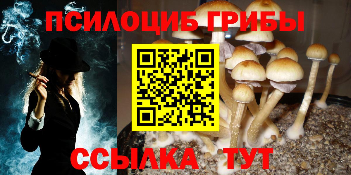 Галлюциногенные грибы мухоморы Киреевск
